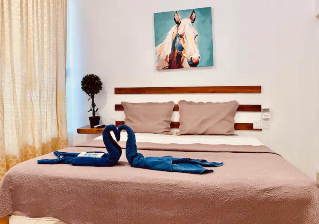 Hotel Ximajo Casa Piedra Brisas de Zicatela Zewnętrze zdjęcie